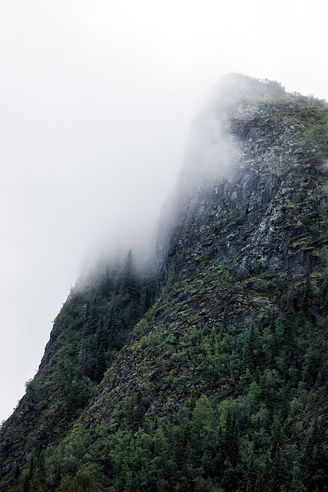 Misty Mountain Forest art print by EMELIEmaria for $57.95 CAD