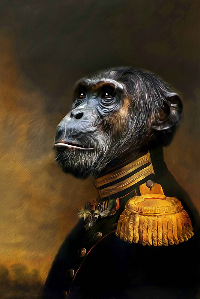 Johan art print by Tein Lucasson for $57.95 CAD