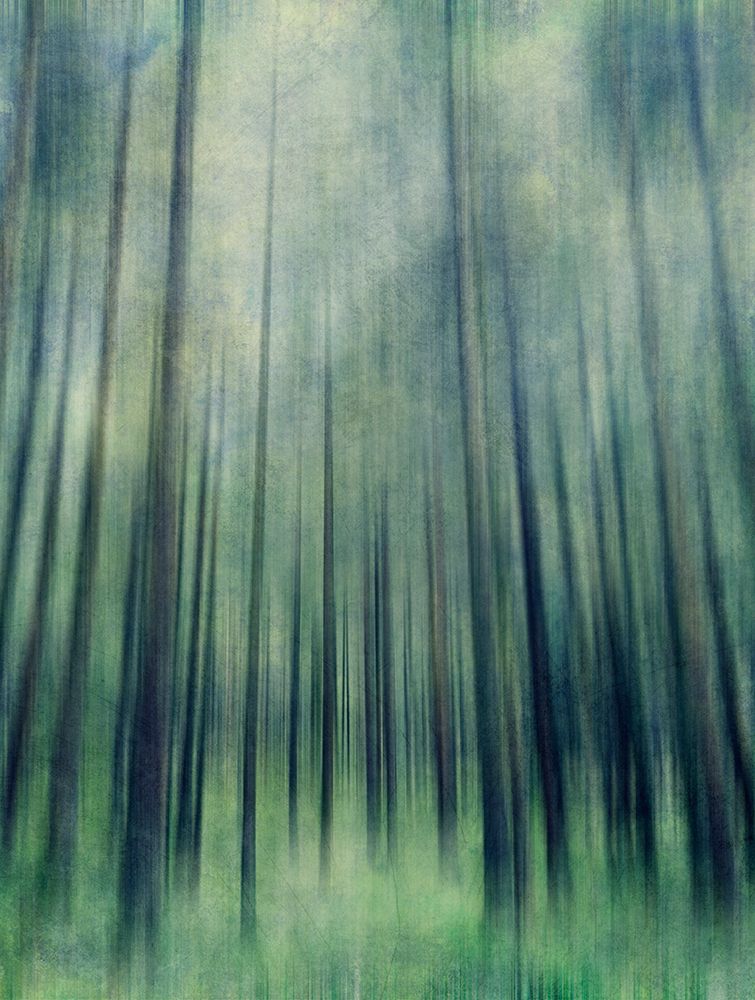 Green Woods Ascent art print by Angelo Cerantola for $57.95 CAD