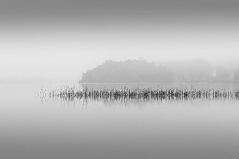 Misty Lake Reeds art print by Benny Pettersson for $57.95 CAD