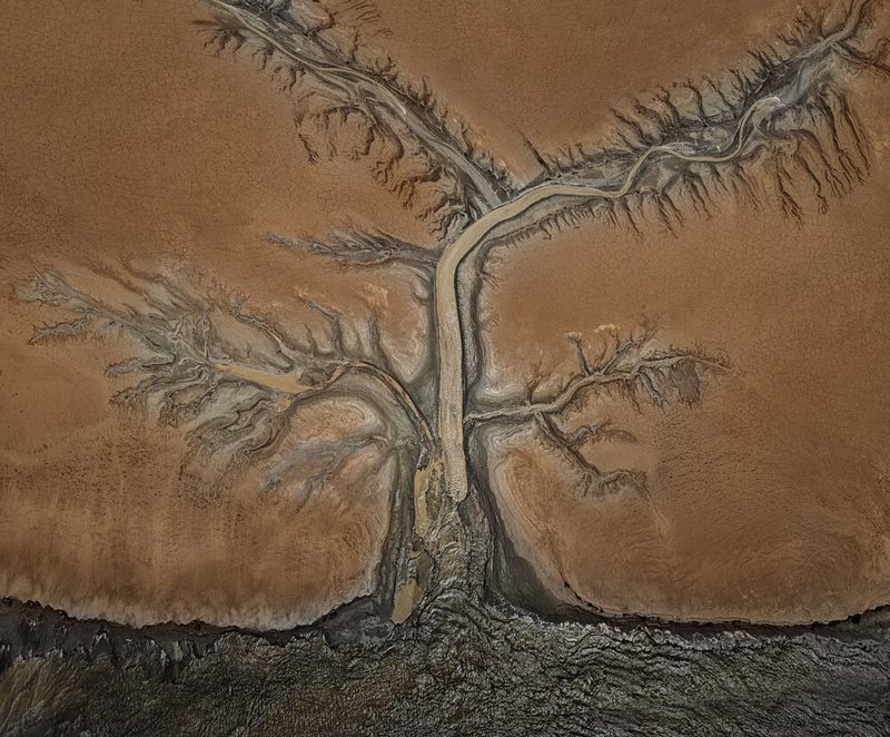 Dry River Delta Tree art print by John-Mei Zhong for $57.95 CAD