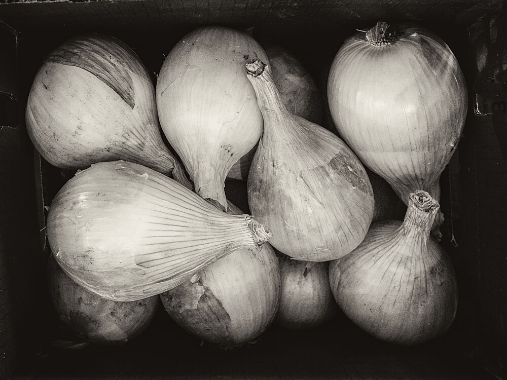 Rustic Onions Still Life art print by Stan A. Malek for $57.95 CAD