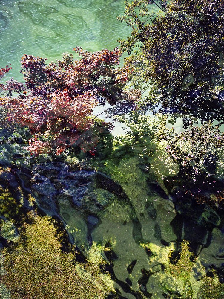 Autumn Water Reflections art print by Angelo Cerantola for $57.95 CAD