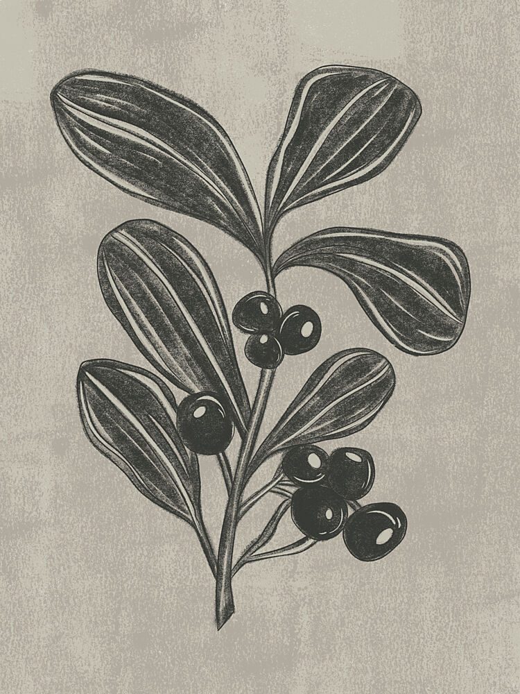 Botanical Berry Sketch art print by Nikita Jariwala for $57.95 CAD