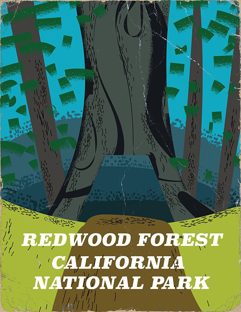 Redwood Forest California art print by Nicholas for $57.95 CAD