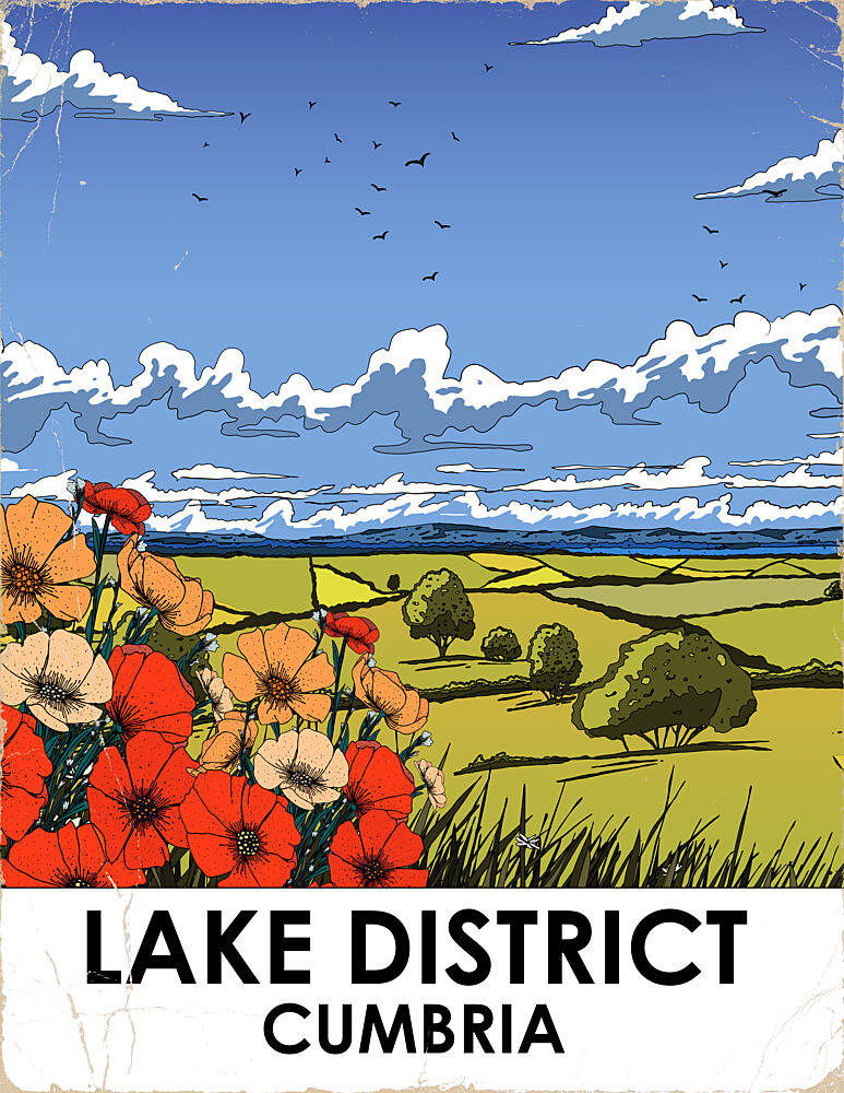 Lake District Poppies art print by Nicholas for $57.95 CAD
