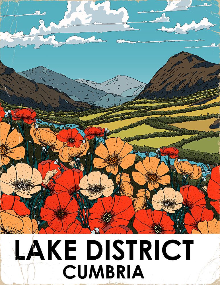 Lake District Wildflowers art print by Nicholas for $57.95 CAD