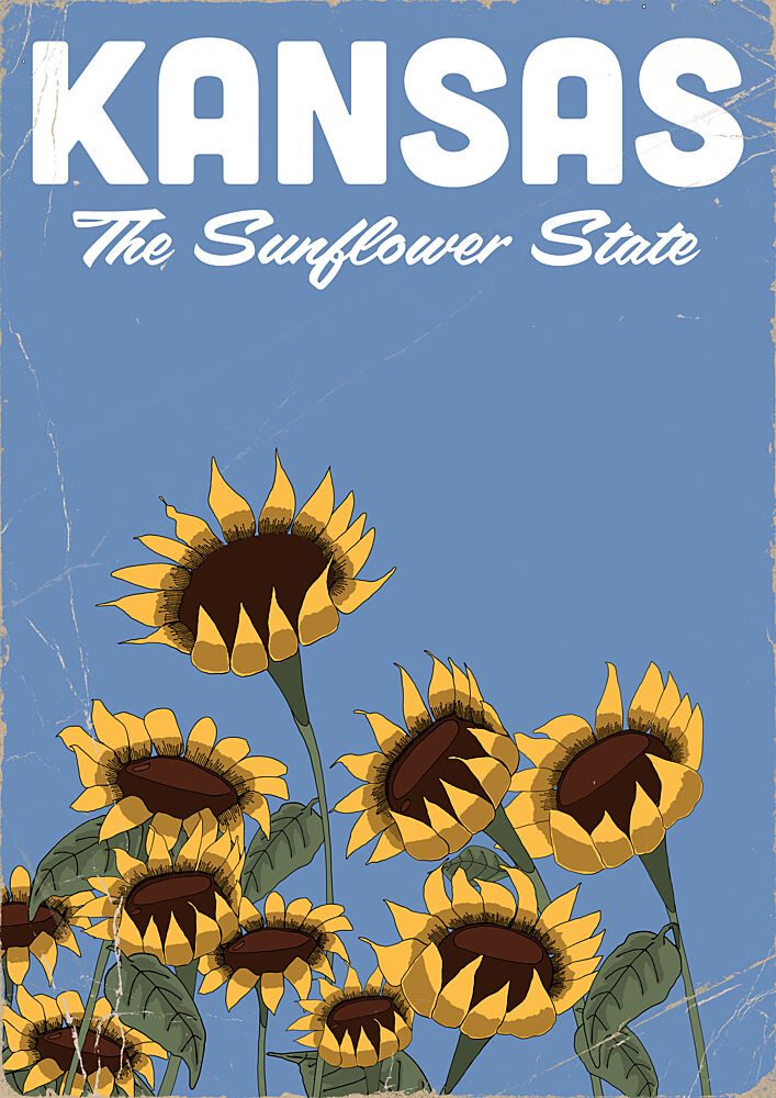 Kansas Sunflower State art print by Nicholas for $57.95 CAD