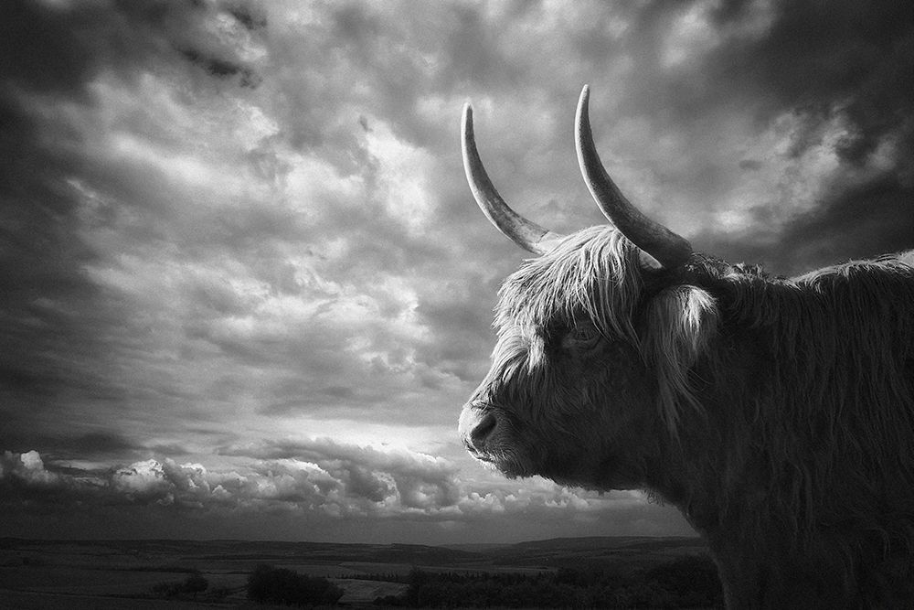 The Highlands art print by Holger Droste for $57.95 CAD