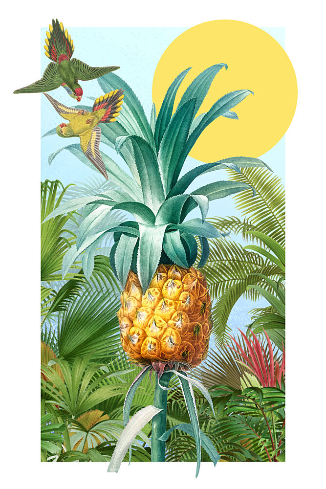 Vibrant Tropical Pineapple art print by Marja van den Hurk for $57.95 CAD
