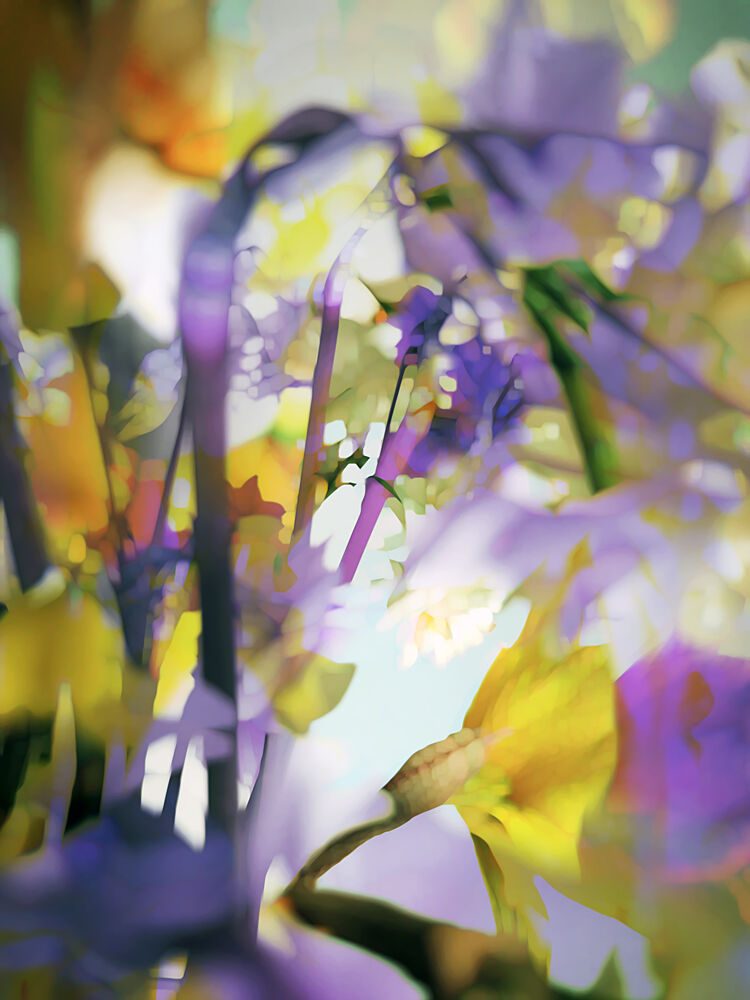 Dreamy Floral Abstract art print by Angelo Cerantola for $57.95 CAD
