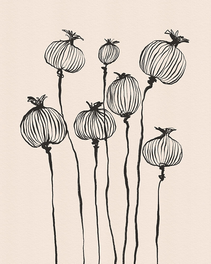 Graceful Poppy Pods art print by Dotz and Cats for $57.95 CAD