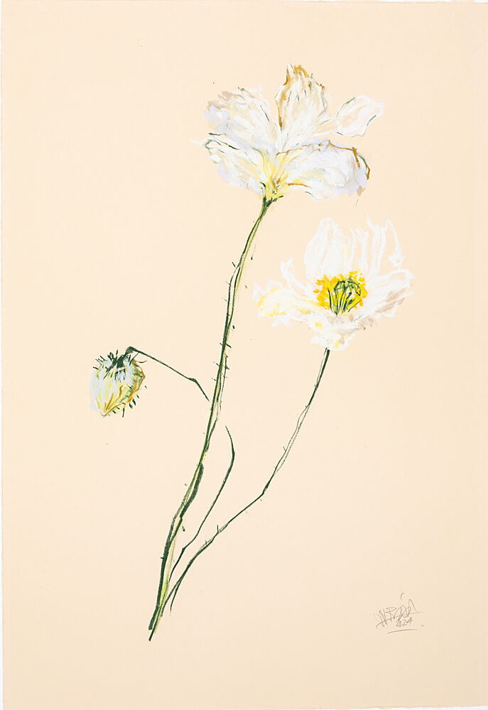 Delicate White Poppies art print by Mette Rix for $57.95 CAD