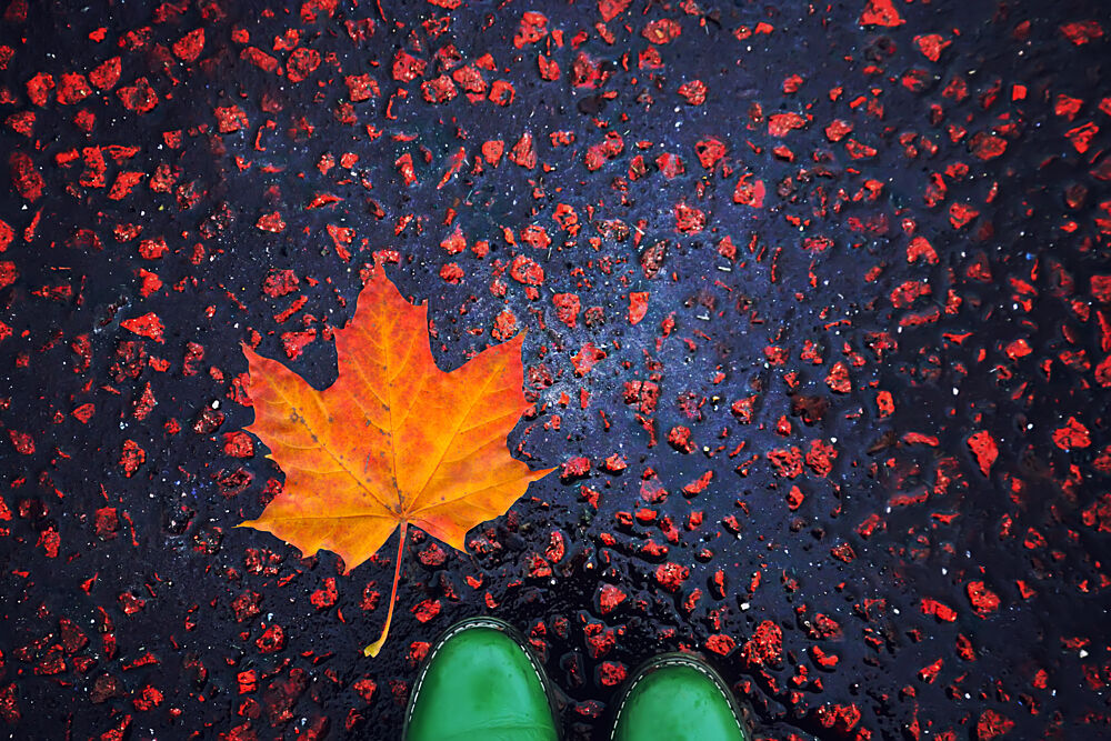 Autumn Maple Leaf and Boots art print by Ralitsa Byalkova for $57.95 CAD