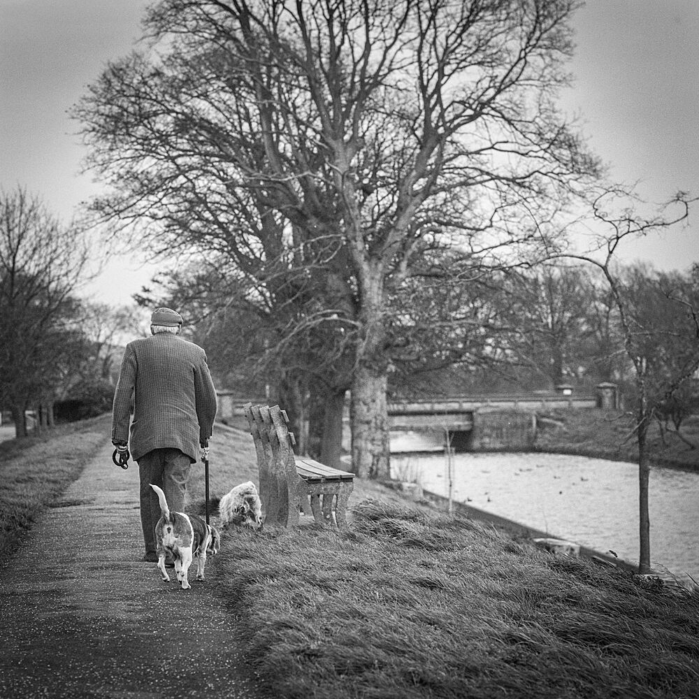 Man and Dogs Winter Walk art print by Makoto Inaba for $57.95 CAD