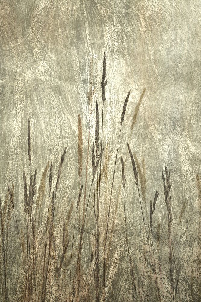Rustic Tall Grasses art print by Christina Sillen for $57.95 CAD
