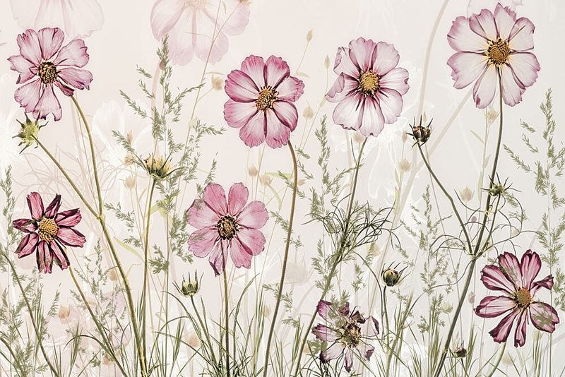 Summer Memory art print by Nel Talen for $57.95 CAD