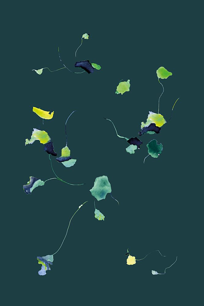 Serene Floating Leaves art print by Alexandra Weise for $57.95 CAD