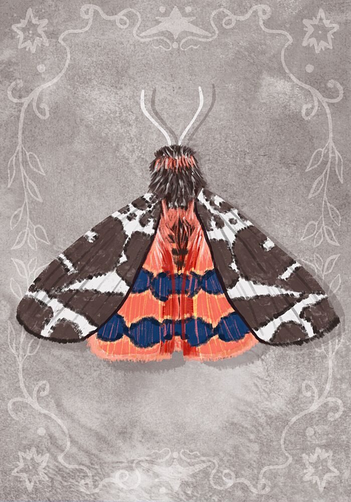 Vibrant Moth Illustration art print by Aliya Putrus for $57.95 CAD