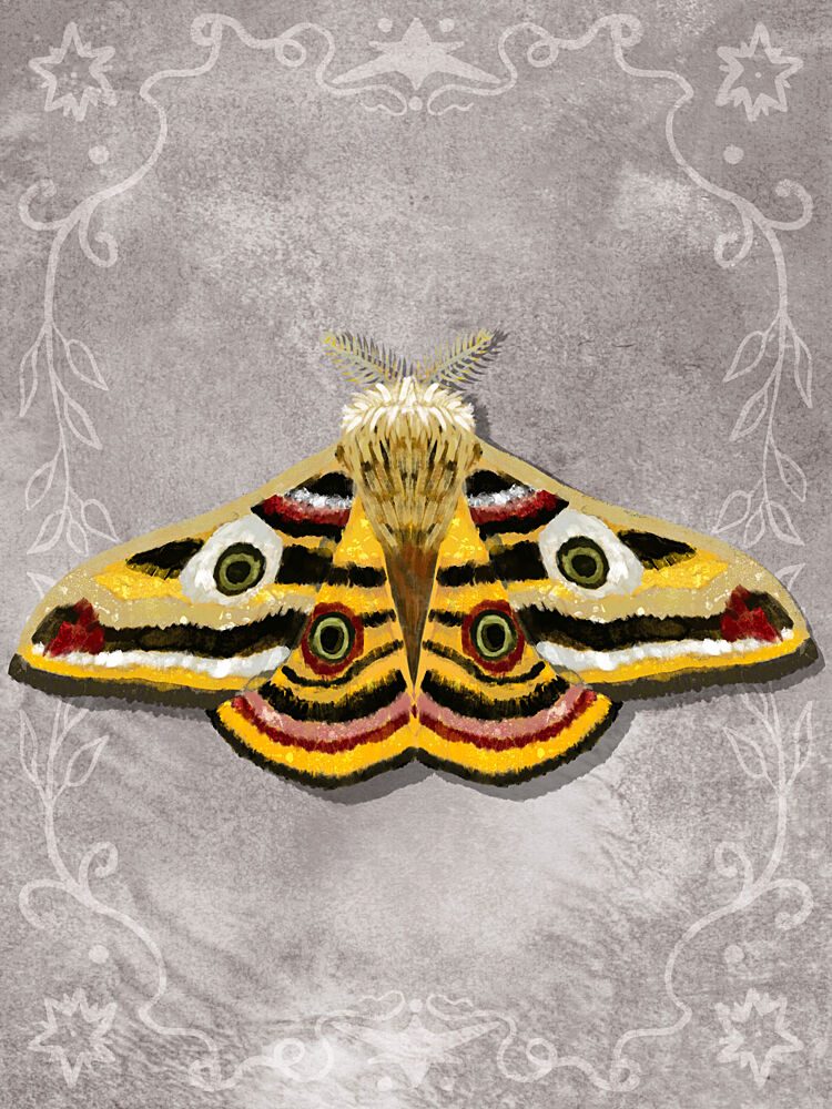 Ornate Moth Portrait art print by Aliya Putrus for $57.95 CAD