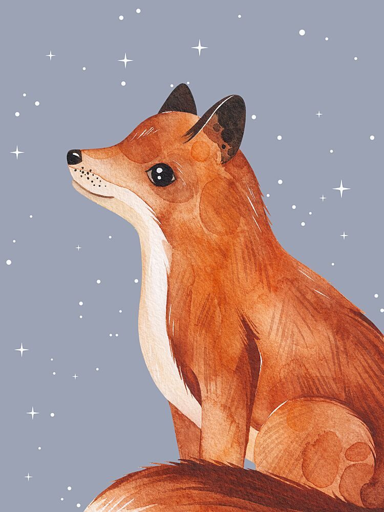 Whimsical Stargazer Fox art print by Ohkimiko for $57.95 CAD