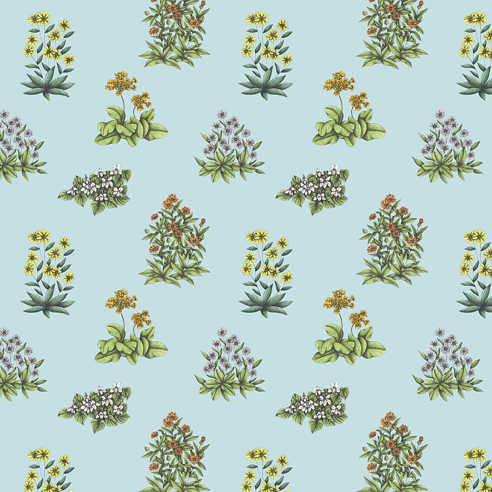 Delicate Floral Illustrations art print by Cecilia Battaini for $57.95 CAD