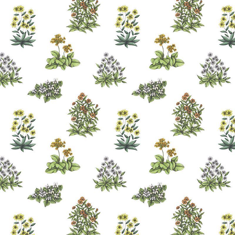 Vibrant Botanical Array art print by Cecilia Battaini for $57.95 CAD