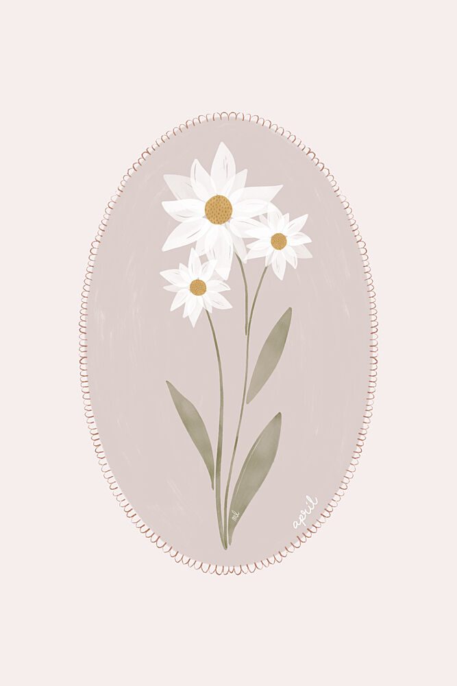 Delicate White Daisies art print by Menina Lisboa for $57.95 CAD