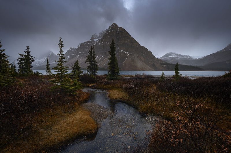 Moody Mountain Stream art print by David Martin Castan for $57.95 CAD