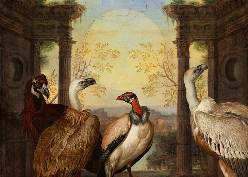 Vultures Among Ancient Ruins art print by Marja van den Hurk for $57.95 CAD
