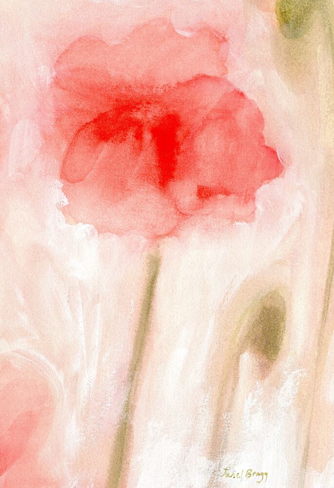 Soft Red Poppy Bloom art print by Janel Bragg for $57.95 CAD