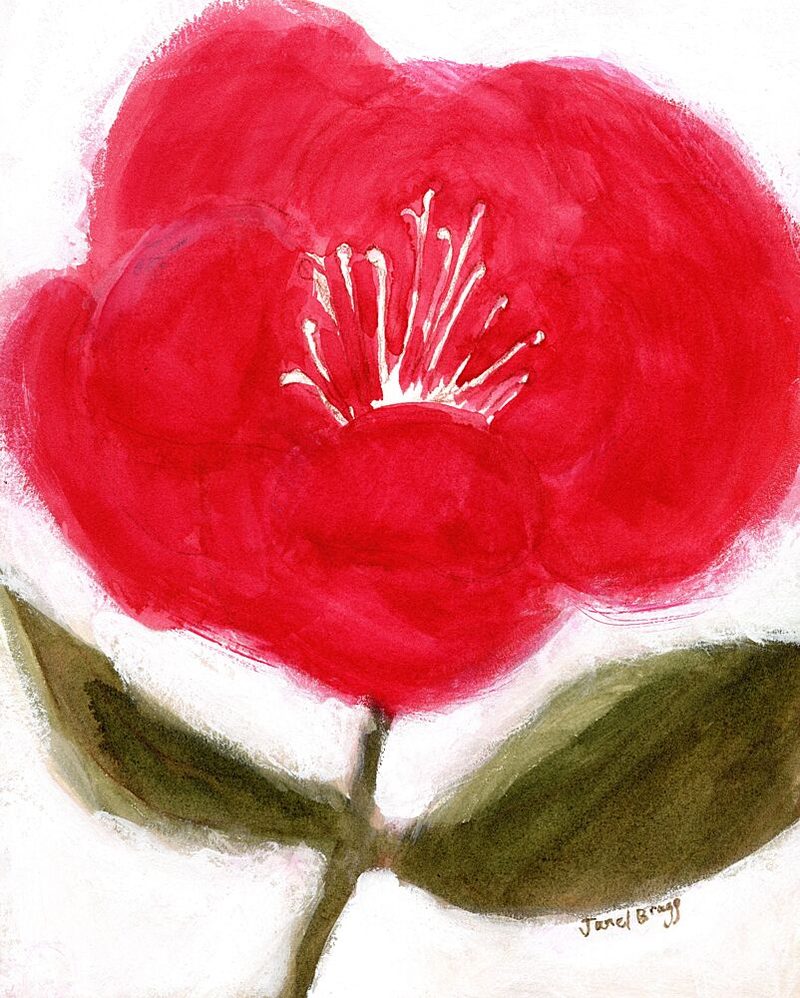 Vibrant Red Flower Bloom art print by Janel Bragg for $57.95 CAD