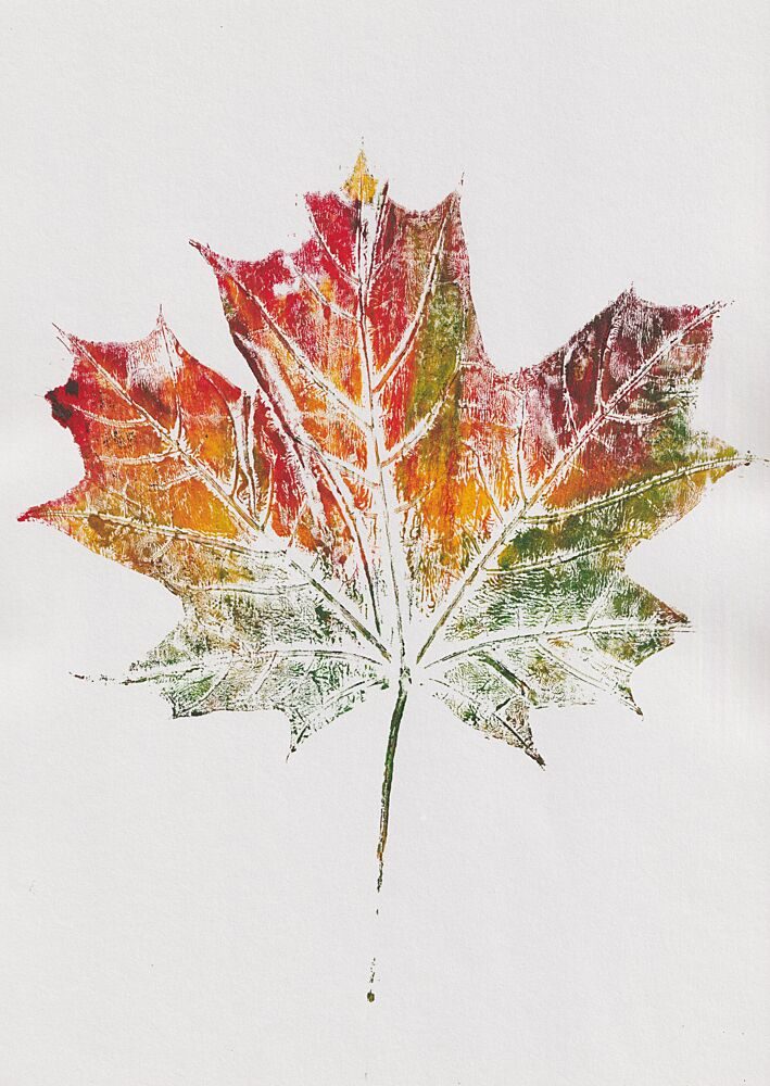 Maple Leaf art print by Maira Ribena for $57.95 CAD