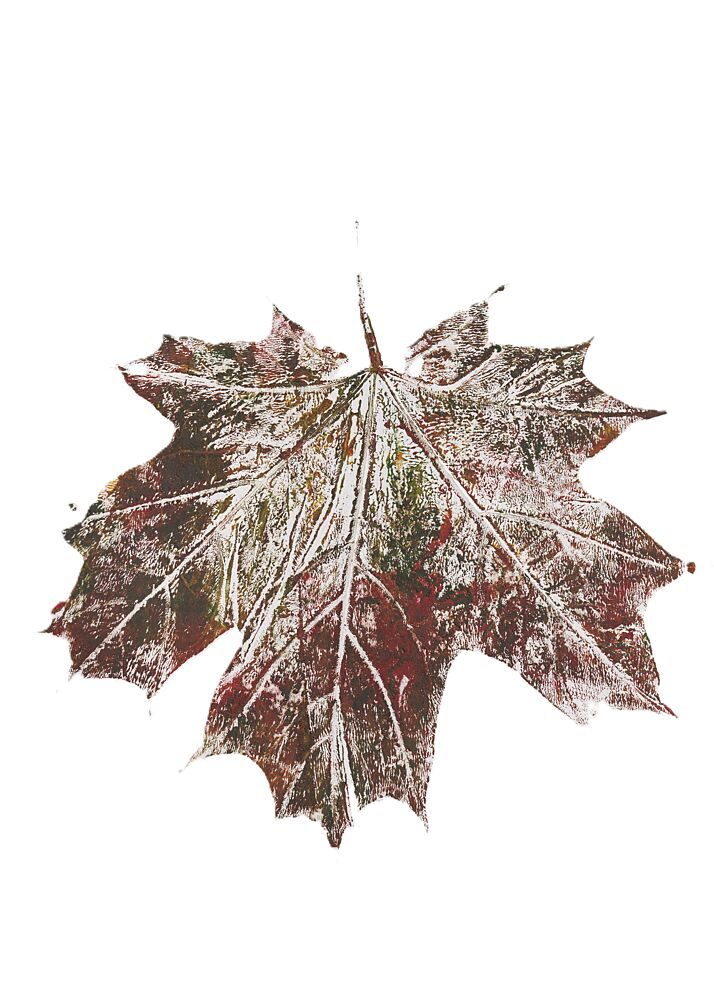 Rustic Autumn Maple Leaf art print by Maira Ribena for $57.95 CAD