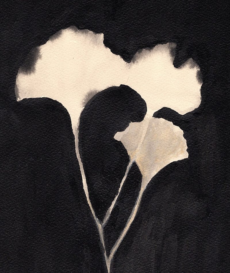 Subtle Ginkgo Serenity art print by Janel Bragg for $57.95 CAD