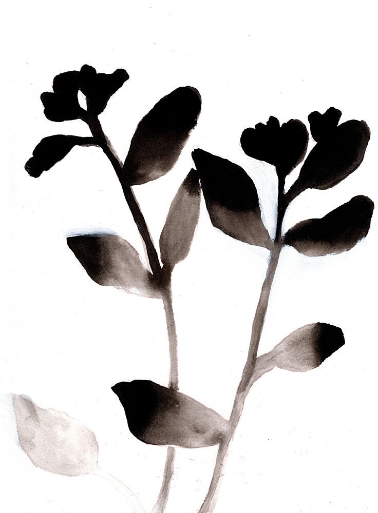 Minimalist Botanical Blooms art print by Janel Bragg for $57.95 CAD
