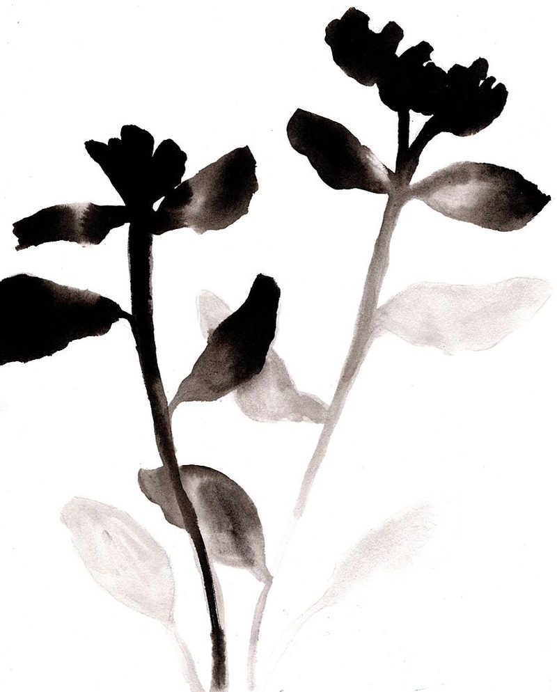 Black Ink Flowers art print by Janel Bragg for $57.95 CAD