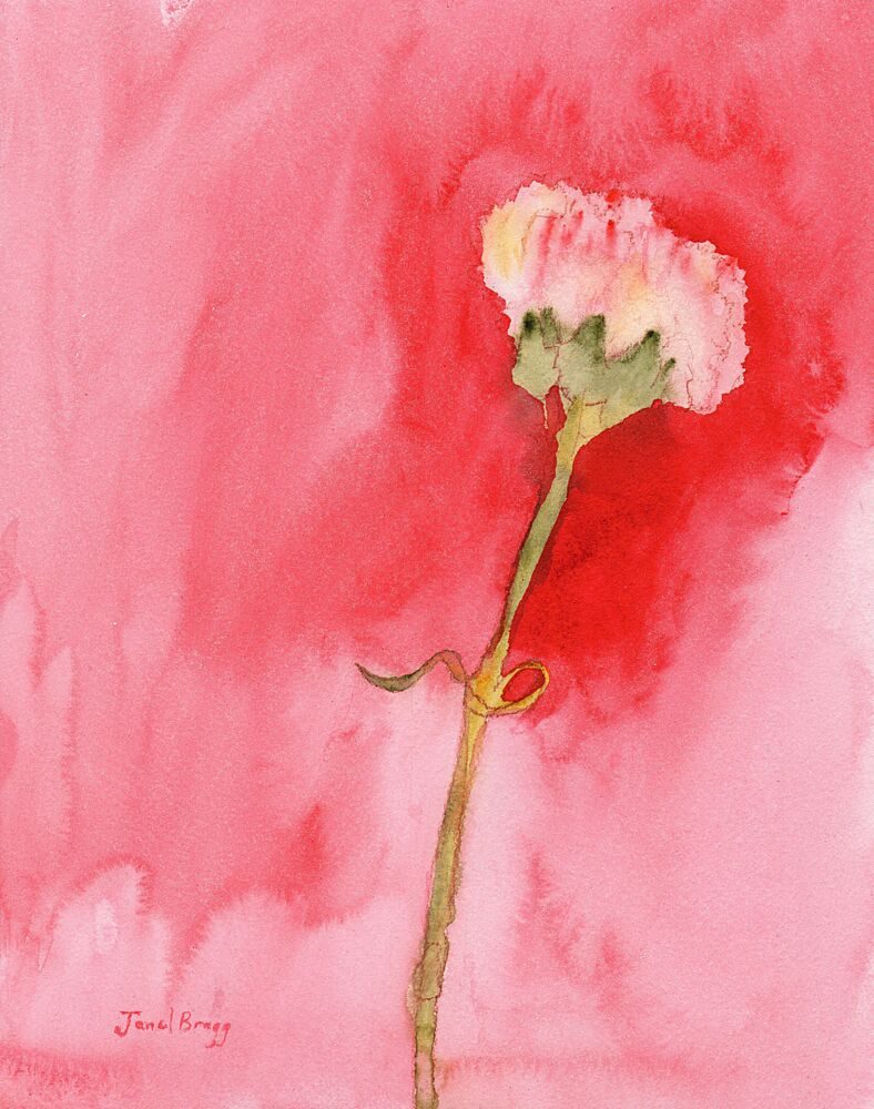 Blush Watercolor Bloom art print by Janel Bragg for $57.95 CAD
