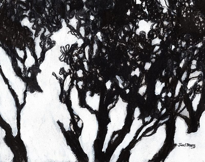 Stark Forest Silhouette art print by Janel Bragg for $57.95 CAD