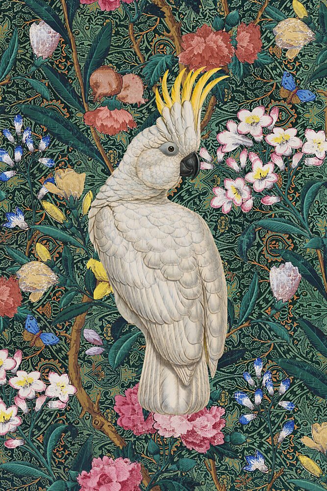 Vibrant Cockatoo Jungle art print by Marja van den Hurk for $57.95 CAD