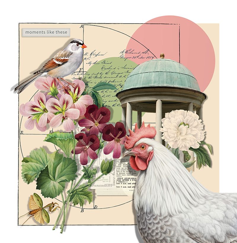 Garden Whimsy Collage art print by Marja van den Hurk for $57.95 CAD