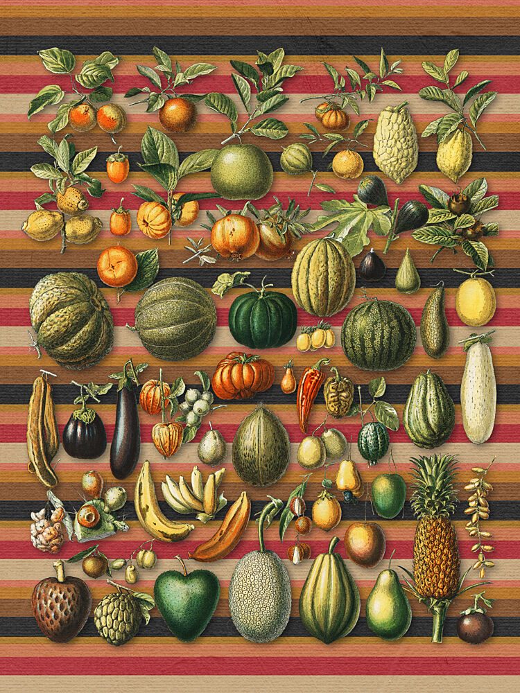 Vibrant Botanical Harvest art print by Marja van den Hurk for $57.95 CAD