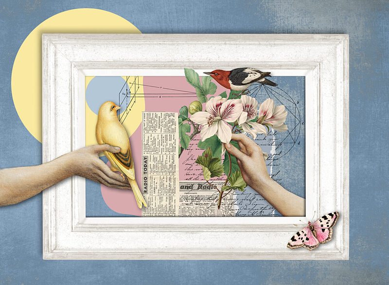 Delicate Nature Collage art print by Marja van den Hurk for $57.95 CAD