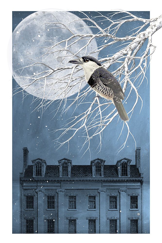 Bird under Winter Moon art print by Marja van den Hurk for $57.95 CAD