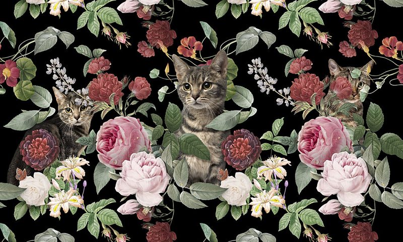 Cats Among Roses art print by Marja van den Hurk for $57.95 CAD
