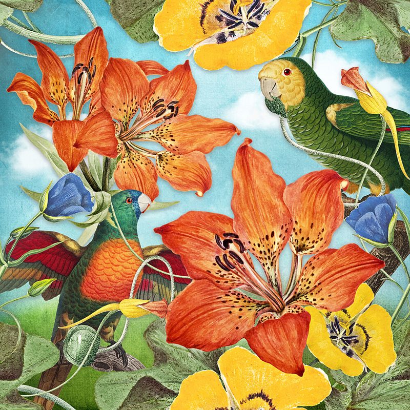 Exotic Birds Tropical Blooms art print by Marja van den Hurk for $57.95 CAD