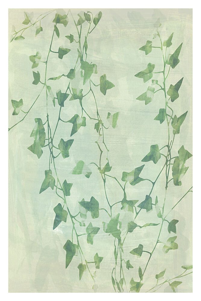 Delicate Green Ivy Vines art print by Cartissi for $57.95 CAD