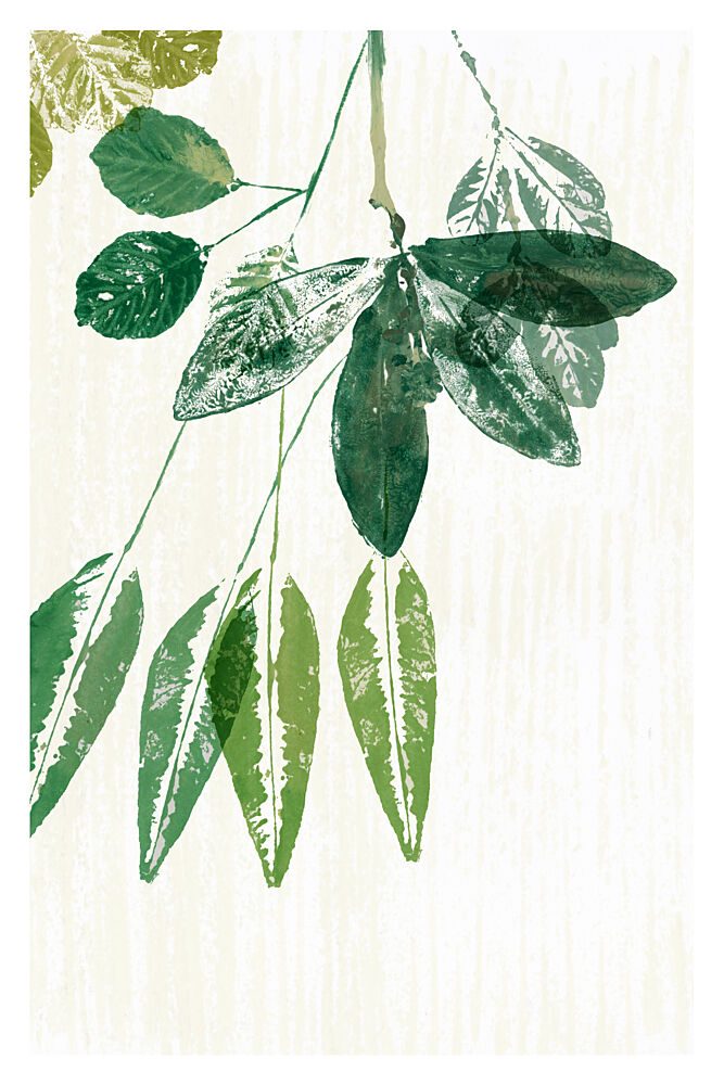 Botanical Green Leaves art print by Cartissi for $57.95 CAD