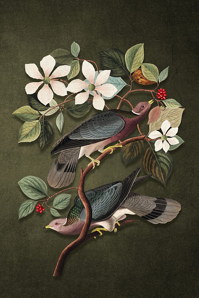 Elegant Birds and Blooms art print by Marja van den Hurk for $57.95 CAD