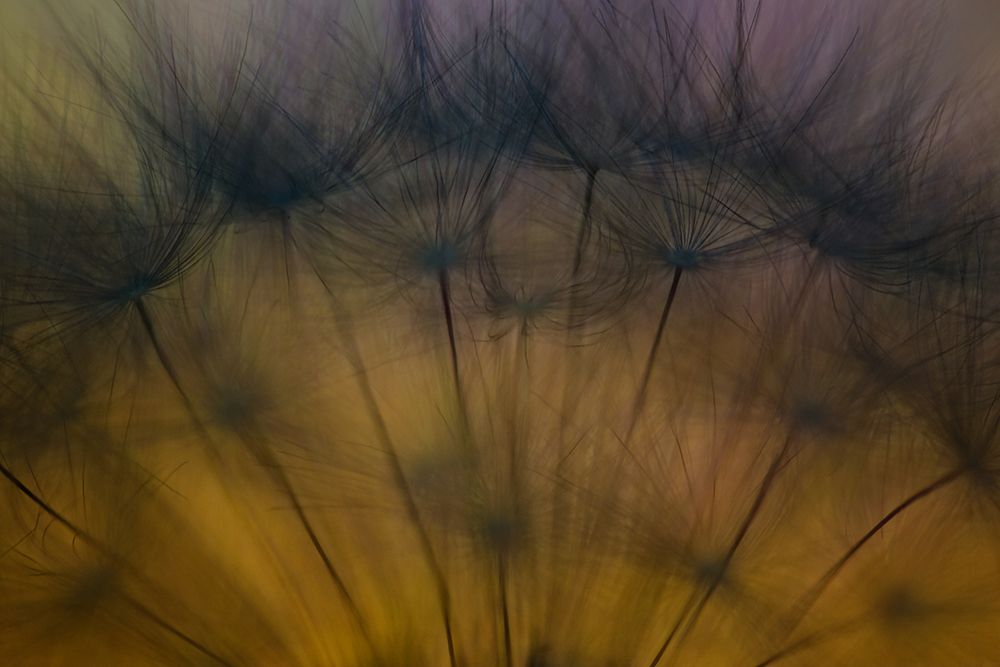 Taste Of Spring art print by Ricky Siegers for $57.95 CAD